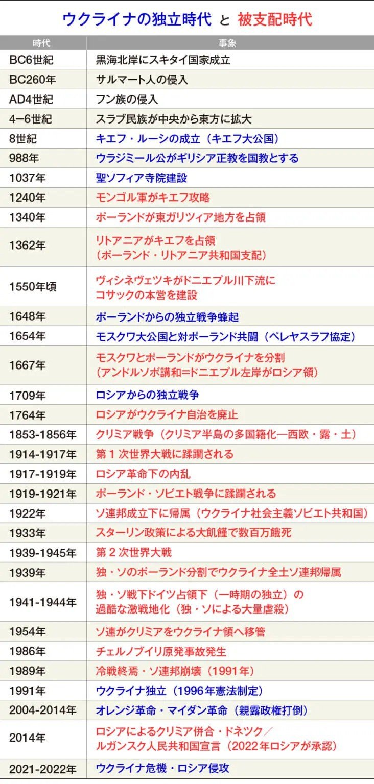 ウクライナ戦争以後の世界と日本――新・安全保障論特別座談会　柳澤協二×伊勢﨑賢治×加藤朗×林吉永_6