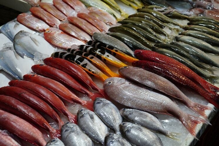市場に並んだ鮮魚（写真／shutter stock）