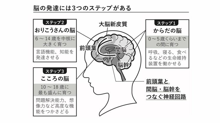 子どもの脳をダメにする親のＮＧ行為とは？　「神童」が不登校になった原因は“習いごと”の多さ？…起立性調節障害を招きかねない脳からの危険信号とは_1