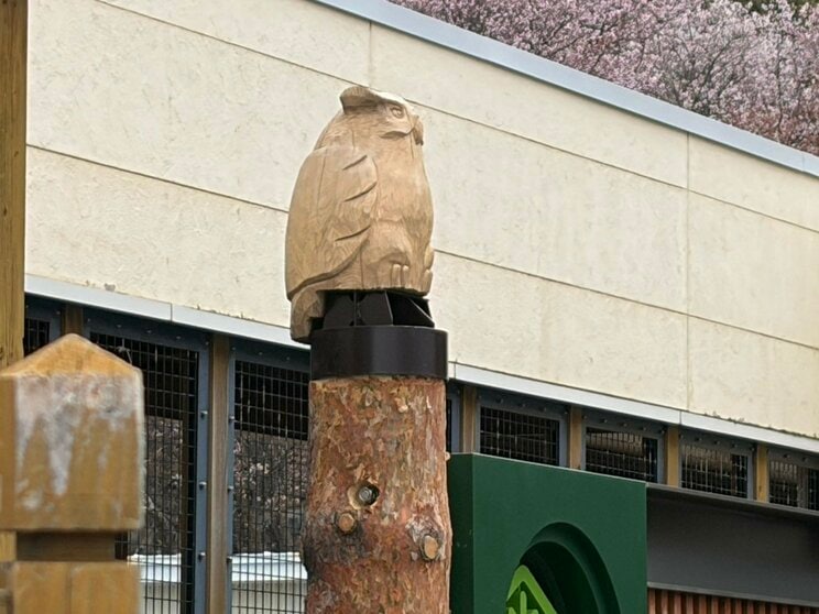 旭山動物園（撮影／集英社オンライン）