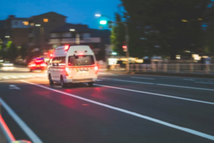 写真はイメージです(写真/Shutterstock)