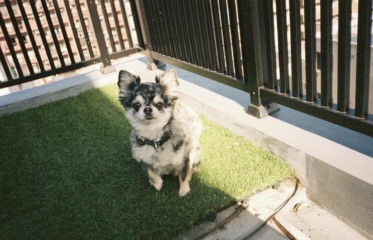 アイナ・ジ・エンドがBiSH解散後も捨てられない宝物。学生時代にいじめてきた相手と“仲良し”になれた理由「復讐してもモヤモヤして『もうやめよう』って…」_8