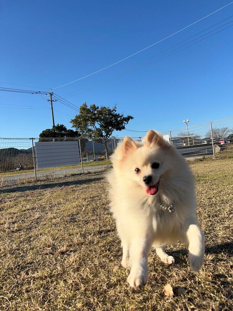 （写真／竹越さん提供）