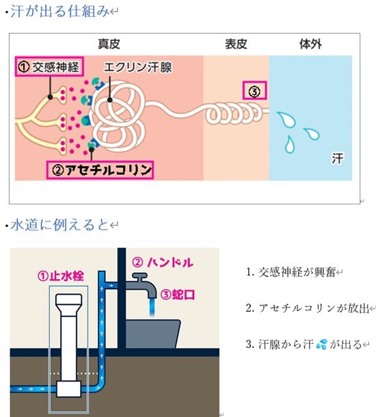 汗が出る仕組み