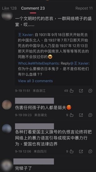 中国のSNSへ投稿されたコメント