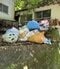 住宅地にも不法投棄ごみが山積（写真／奥多摩町提供）