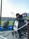 球場でヤクルトスワローズを応援