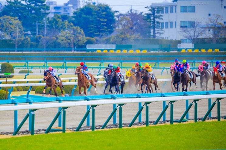 競馬場で迷ったら「中京競馬場は内枠、東京競馬場は内前、阪神ダートは…」６年連続回収率100%超えのプロギャンブラーが伝授する普通は気づかない各競馬場の特徴_4