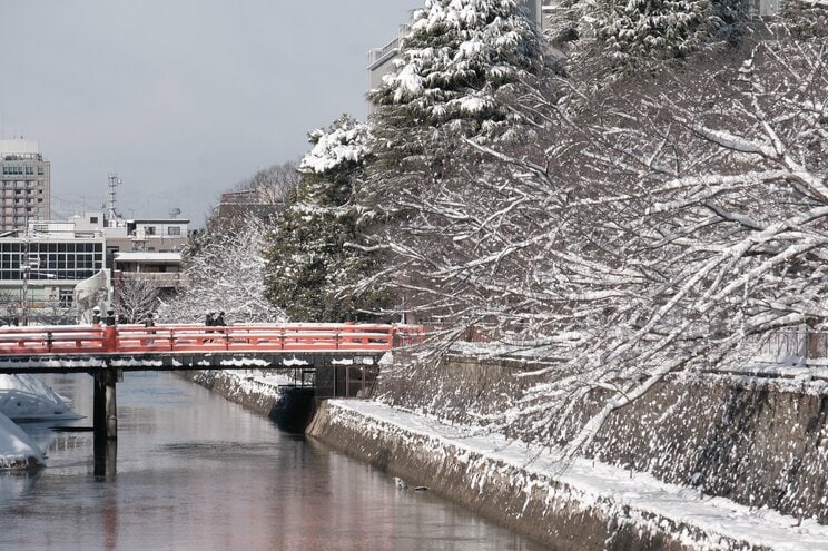 〈大寒波襲来・写真多数〉電車はストップ・渋滞40キロ・タクシー大行列・立ち往生、それでも開いていた牛丼屋に安堵…豪雪の京都ルポ「完全に大雪をなめていました」_49