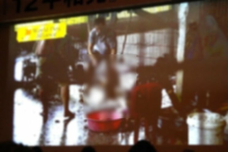 記者会見で上映された映像に映る、犬を食用に処理している場面 撮影/集英社オンライン