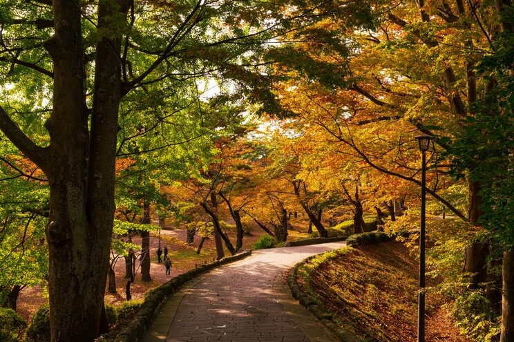 写真はイメージです(PhotoAC)