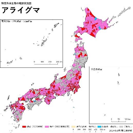 2024年９月環境省作成「特定外来生物の確認状況図 アライグマ」