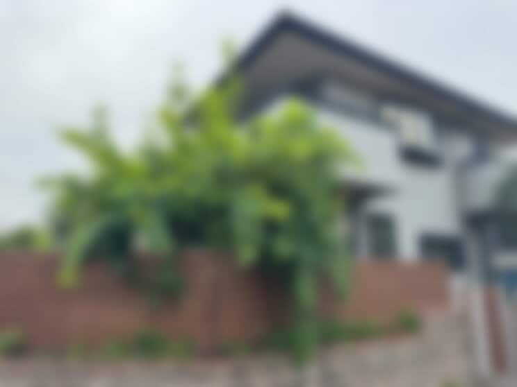 ボビー容疑者の自宅（撮影／集英社オンライン）