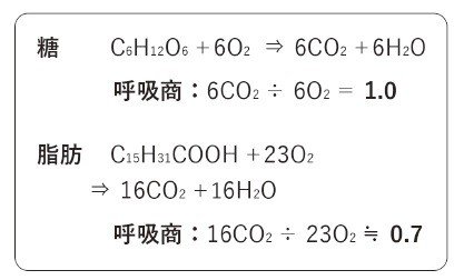 「できるだけ」自転車を利用するだけでも確実なメタボ改善効果が。糖をたくさん消費して血糖値を下げる自転車運動のメカニズム_1