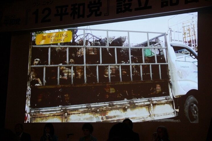 犬肉食反対を訴える日本の政治団体のイベントで上映された、食用の犬が運ばれていく場面（撮影／集英社オンライン）