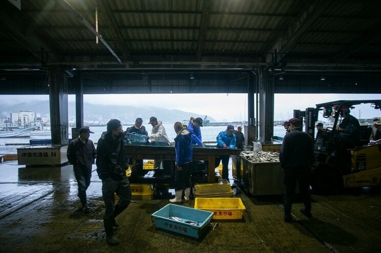 マイワシ漁が盛んな静岡県の伊東港