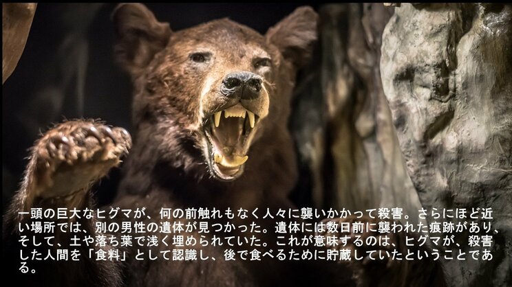 人間は「食料」、だから貯蔵する――狂犬病×ヒグマ“最凶暴化”の恐怖　サハリンの惨劇が日本に警鐘_4
