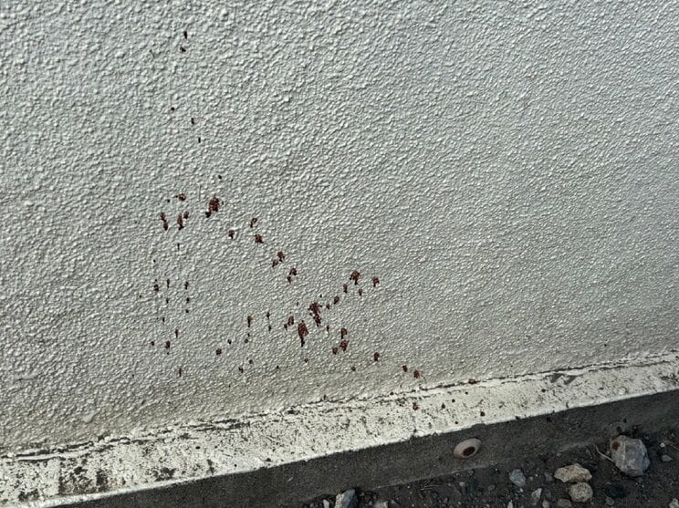 血痕は数十メートル先の壁にも…