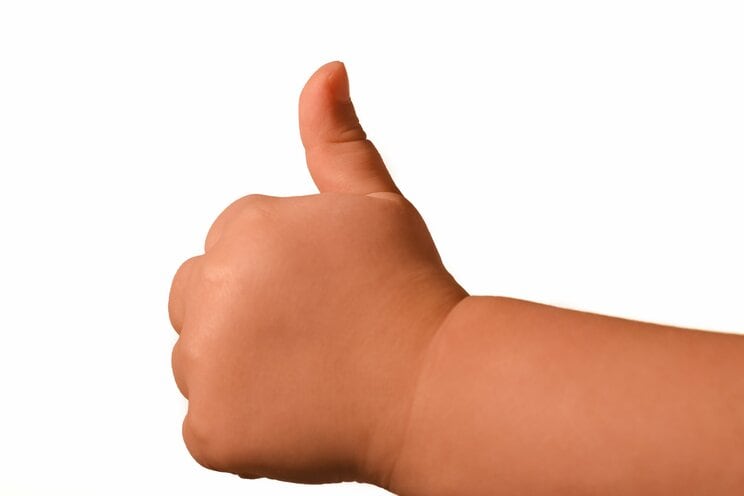 写真はイメージです　写真／Shutterstock