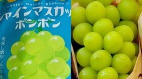 〈転売価格は100倍にも〉爆売れ氷菓子「シャインマスカットボンボン」…「どこにもない」「実在するの?」「反抗期の娘に頼まれたけど見つからないよ」販売担当者は「再販するかも未定です」