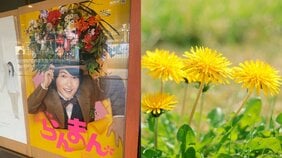 NHK朝ドラ『らんまん』、浜辺美波演じるヒロインのオタクぶりが本人そのもの!? 「恋愛よりも仕事と読書」「時間があればずっと本を読んでいたい」