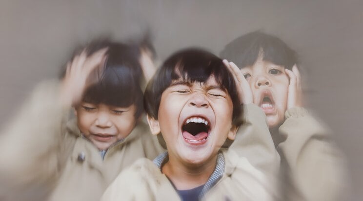 写真はイメージです（写真／Shutterstock）