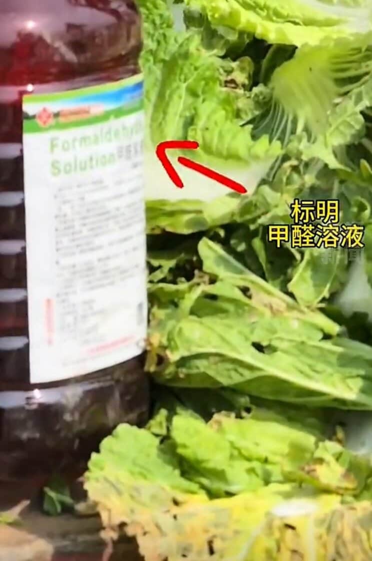 ホルムアルデヒド溶液と書かれた容器と大量の白菜（ブロガーの動画より）