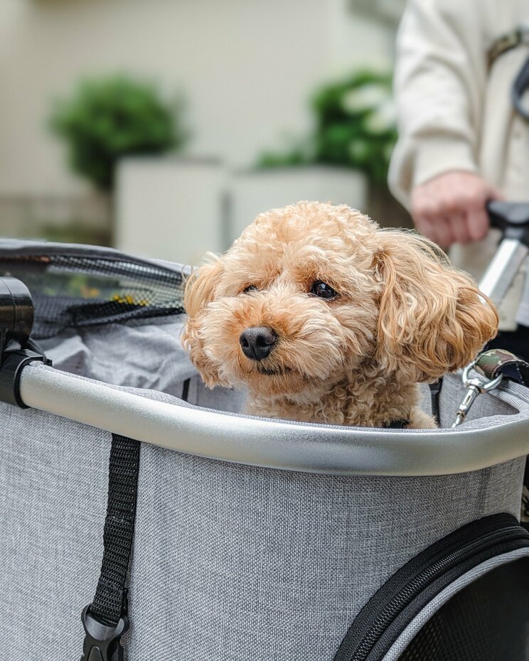 写真はイメージです（写真／PhotoAC）