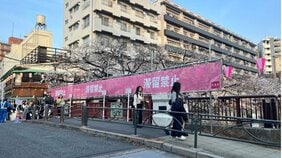 なぜ中目黒は「立ち止まれない桜名所」になったのか…300万人が押し寄せた“偶発的発展”の光と影