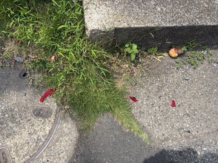 翌日の現場付近。車のライト部分と思われる破片が落ちていた（撮影／集英社オンライン）