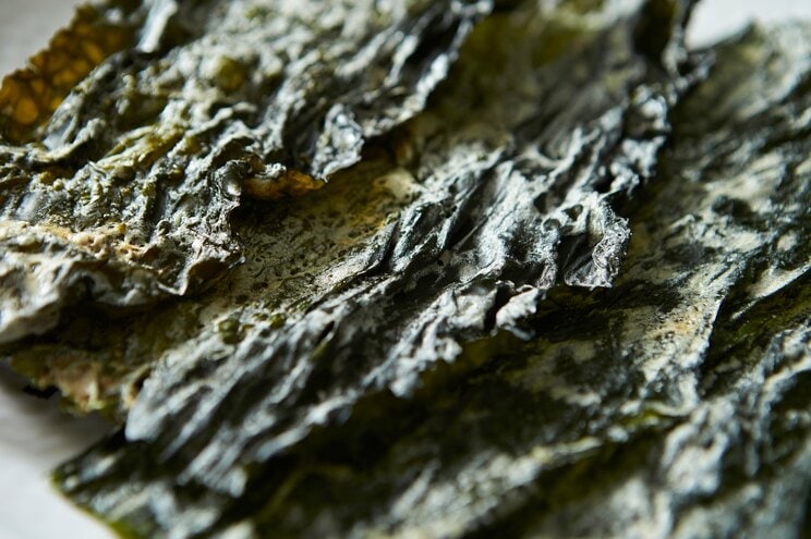 日本人に長寿が多く、肥満が少ないのは腸内環境のおかげ? 寿命や健康に深く関わる腸内細菌のウソホント_3