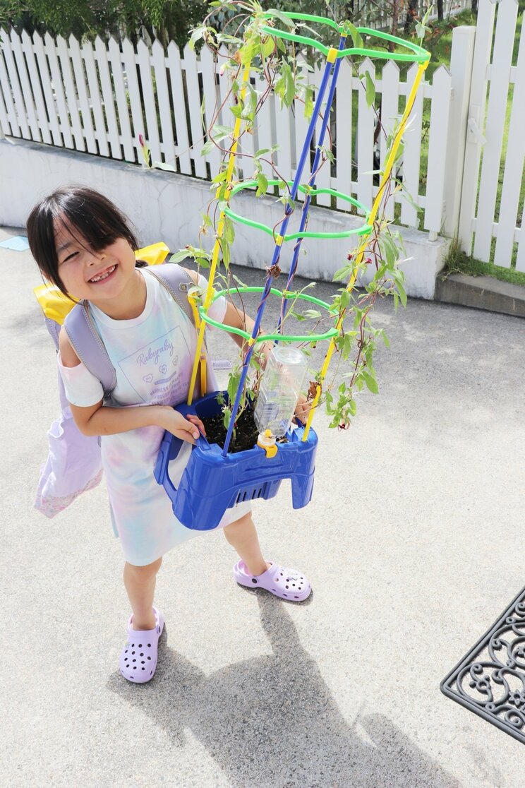 「今さら何を観察しろと？」朝顔、ミニトマトが猛暑で夏休み前に力尽きる…小学生の宿題に異変「教材としてうまく育てるのが難しい状況にある」と専門家、保護者も困惑_21