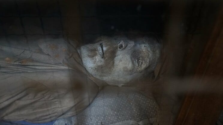 写真はイメージです(写真/Shutterstock)