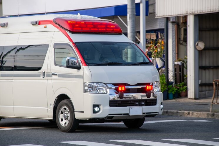 写真はイメージです（PhotoAC）