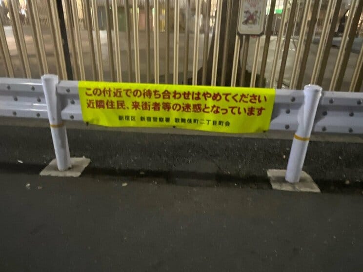 〈大久保公園・春の立ちんぼリターンズ〉「警察の取り締まりがひと区切りしたから」「やっぱりここが楽に稼げる」グループでの客待ちが増えたのは「私服警官が巧妙に摘発してくるから」_9