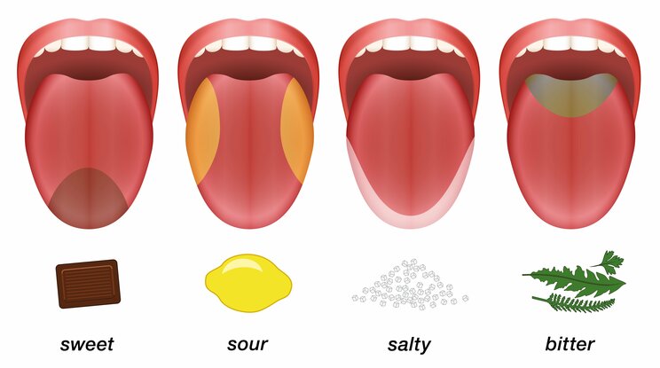 食欲が止まらないは“デブ舌”のせい！　本来、胃の大きさは握りこぶし2つ分なのに、なぜ食べてしまうのか。問題は意志ではなく味覚にあった!?_5