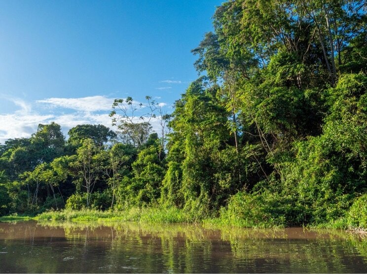 写真はイメージです（写真／Shutterstock）
