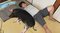 しょうへいさんに添い寝するブタの“ぶひまる”（写真／しょうへいさん提供、以下同）