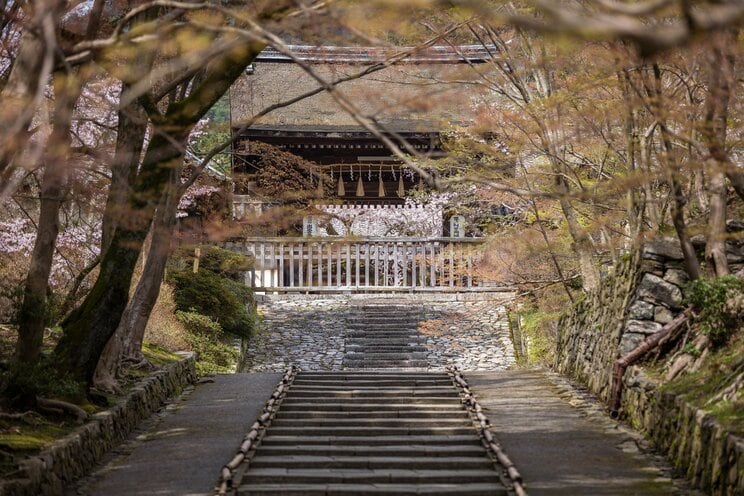 「京都五ケ室門跡」のひとつに数えられる「毘沙門堂」。春は桜、秋は紅葉で有名なる観光名所