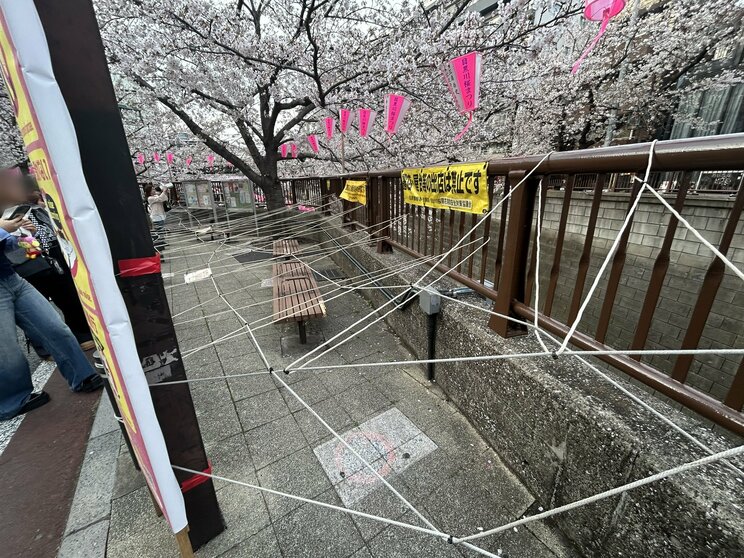 ベンチを封鎖するロープ