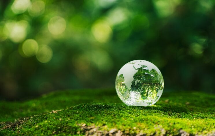 写真はイメージです　写真／Shutterstock