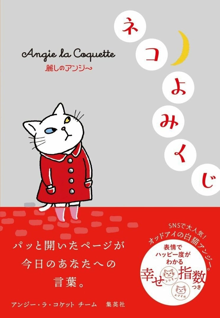 麗しのアンジー ネコよみくじ