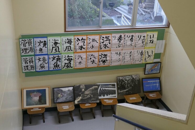 車中泊旅で真冬の室戸岬近くの“廃校水族館”に行ったら、客は最初から最後まで自分一人だった_23